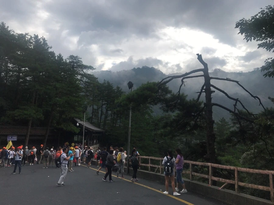 IMG_0683.jpg?type=w966