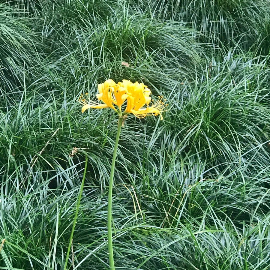 IMG_1162.jpg?type=w1