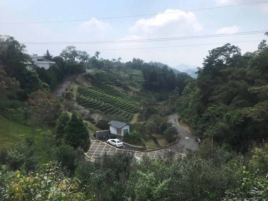 IMG_3213.jpg?type=w966