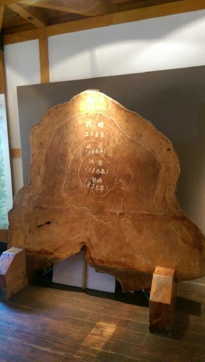 IMAG4891.jpg?type=w773