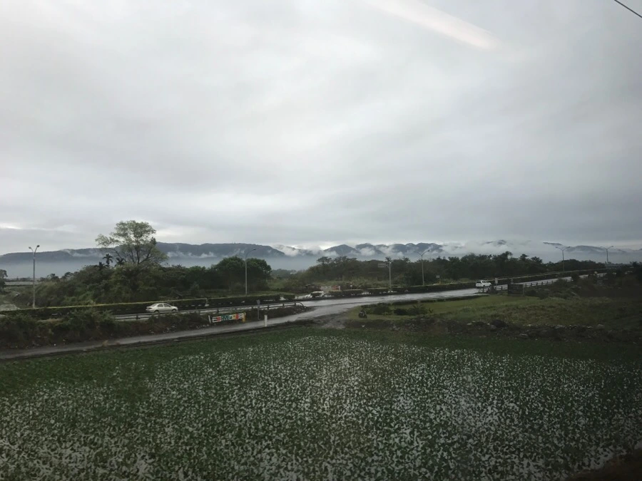 IMG_1333.jpg?type=w966