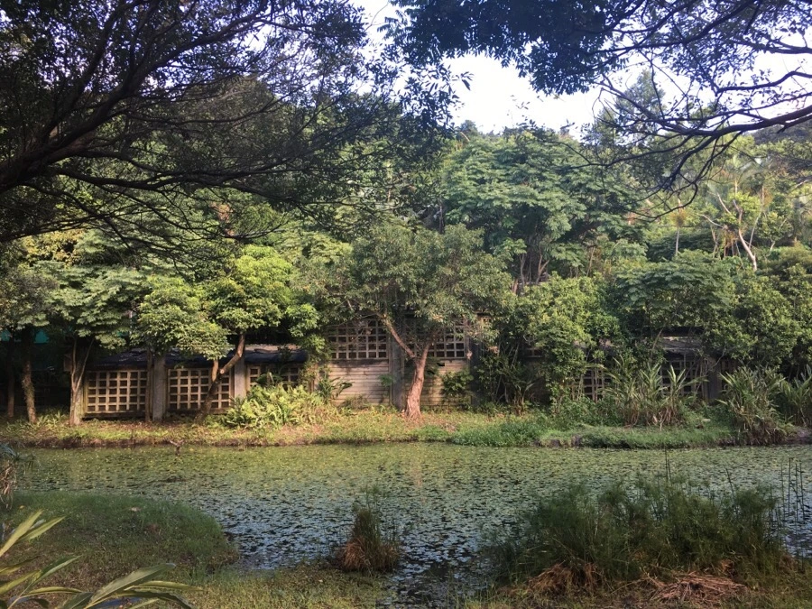 attachImage_4218873853.jpeg?type=w966