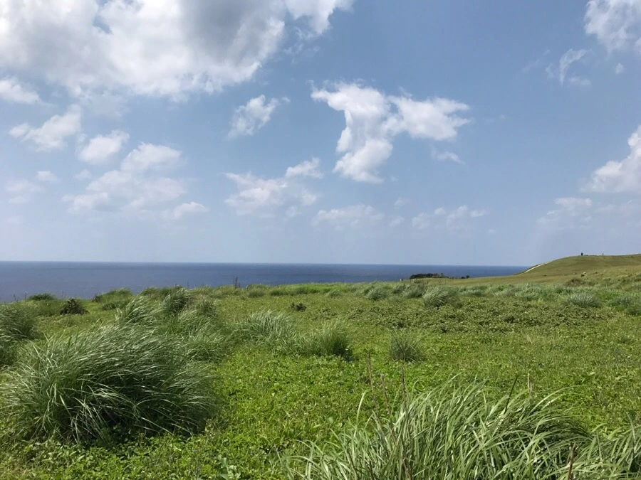 IMG_3911.jpg?type=w966