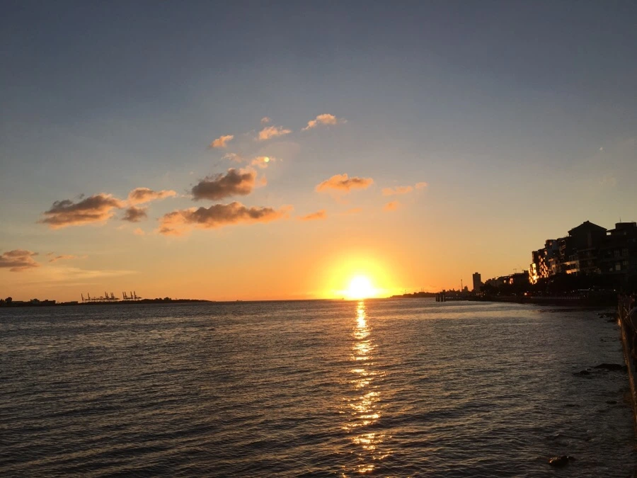 attachImage_3116706478.jpeg?type=w966