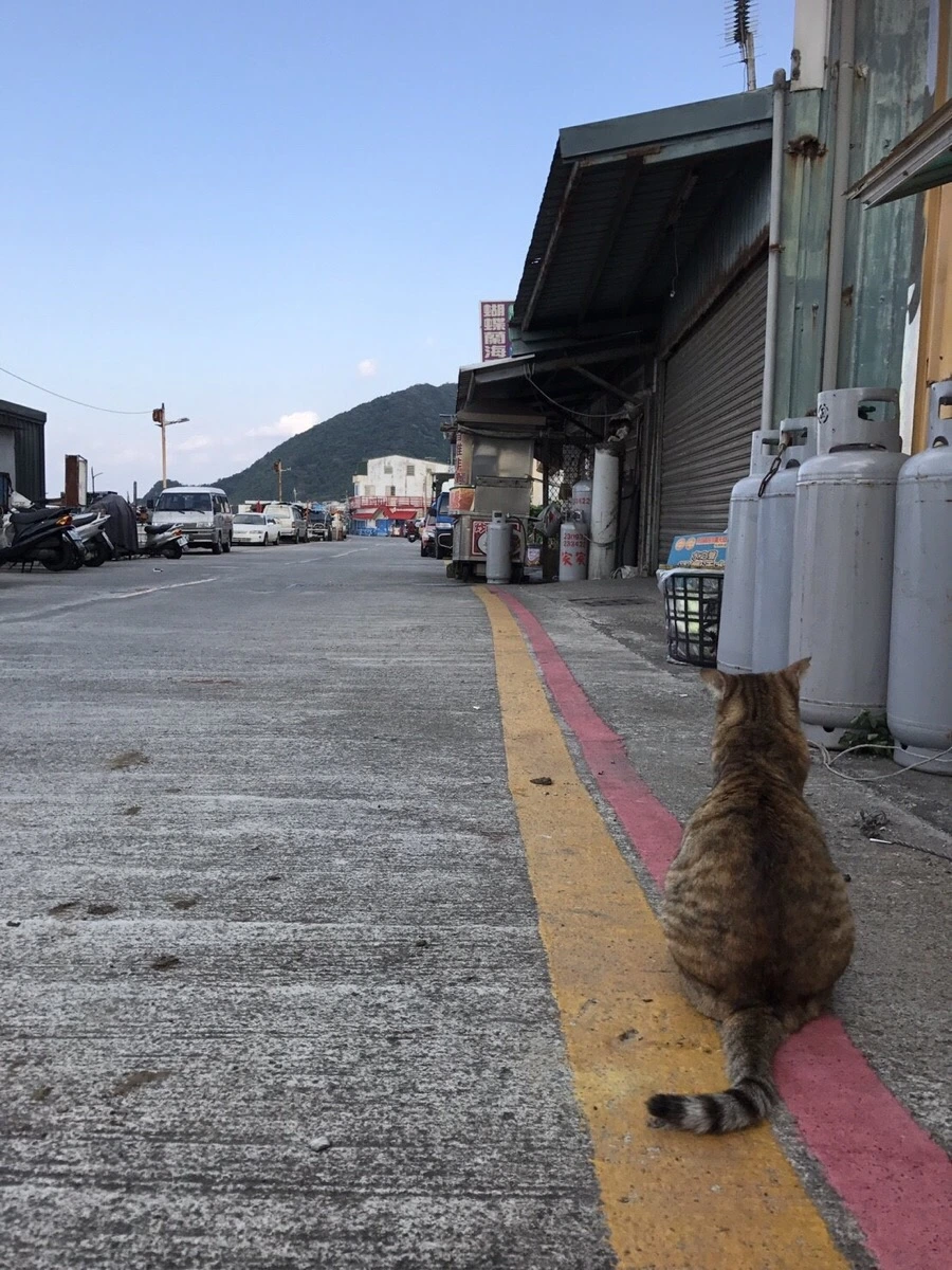 IMG_3995.jpg?type=w966