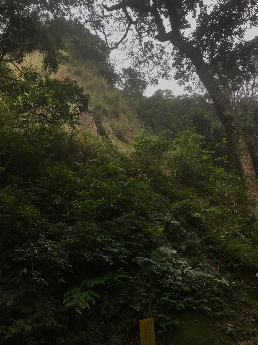 IMG_0979.jpg?type=w966