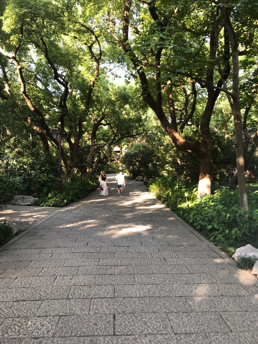 IMG_1304.jpg?type=w1