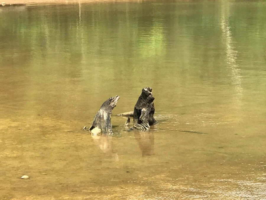 IMG_3668.jpg?type=w966