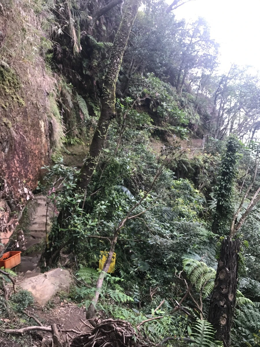 IMG_1060.jpg?type=w966