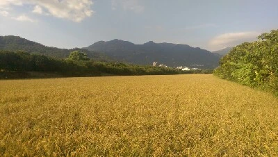 IMAG6246.jpg?type=w773