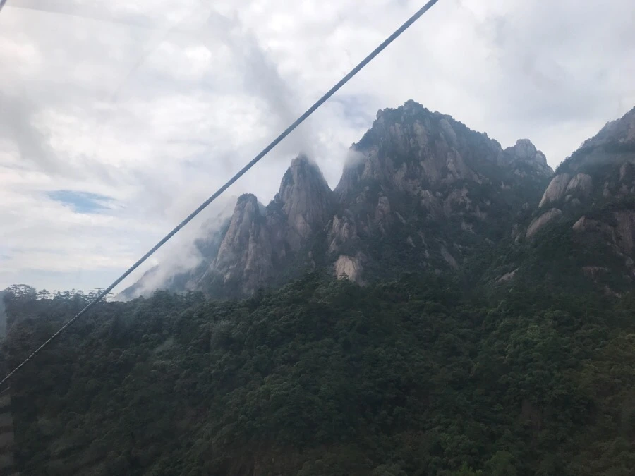 IMG_0702.jpg?type=w966