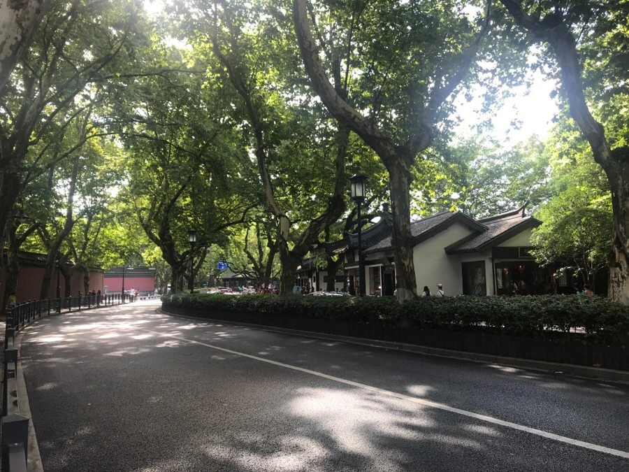 IMG_1110.jpg?type=w966