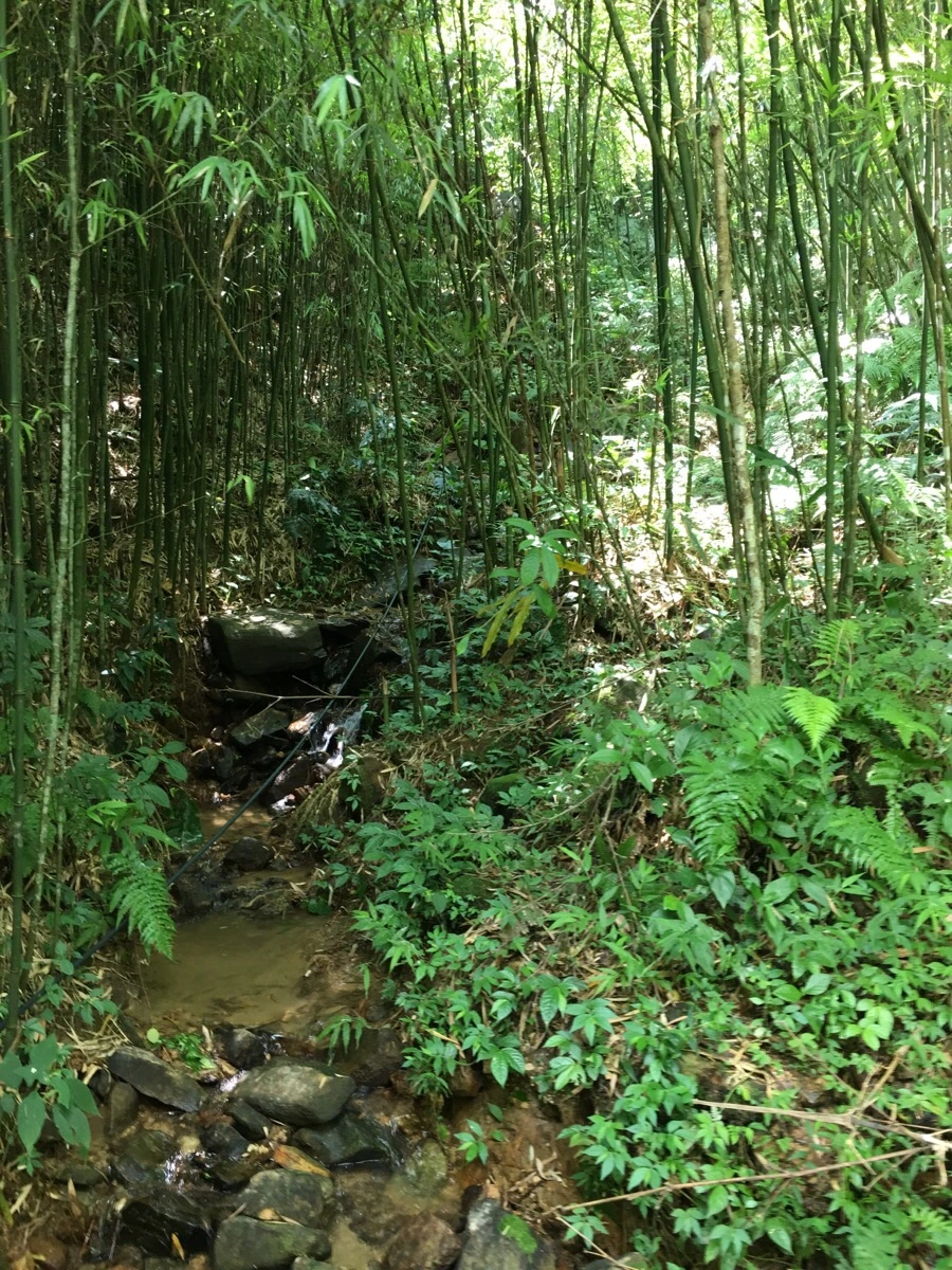 IMG_3575.JPG?type=w1