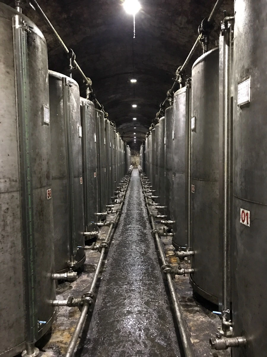 IMG_8481.jpg?type=w966