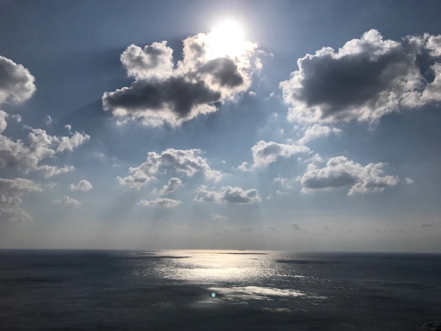 IMG_3755.jpg?type=w966