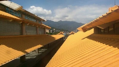 IMAG6213.jpg?type=w773