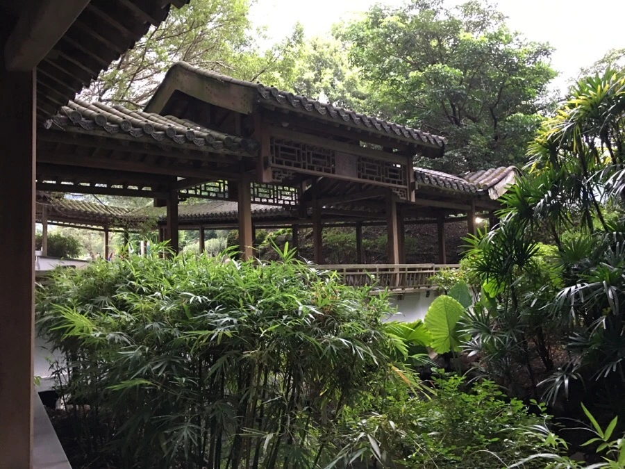 attachImage_815824945.jpeg?type=w966