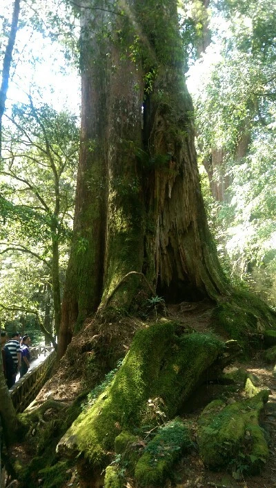 IMAG4883.jpg?type=w773