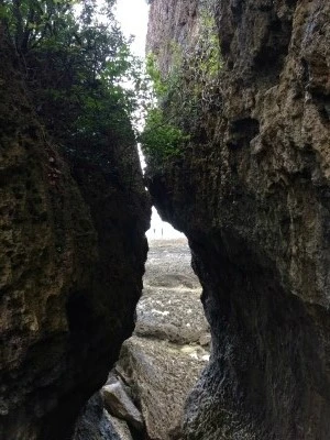 IMG_6128.JPG?type=w2