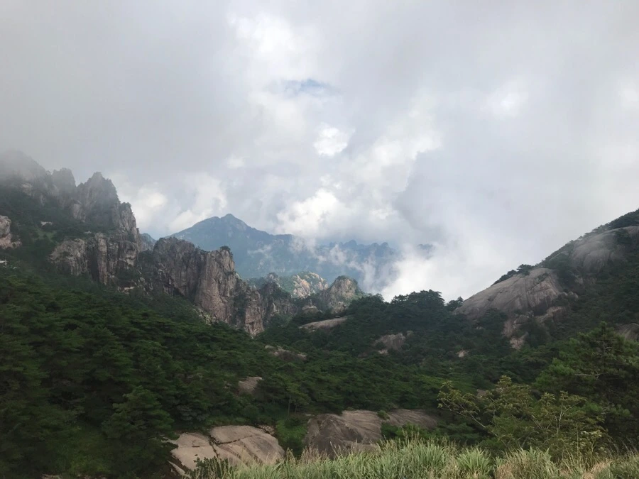 IMG_0791.jpg?type=w966