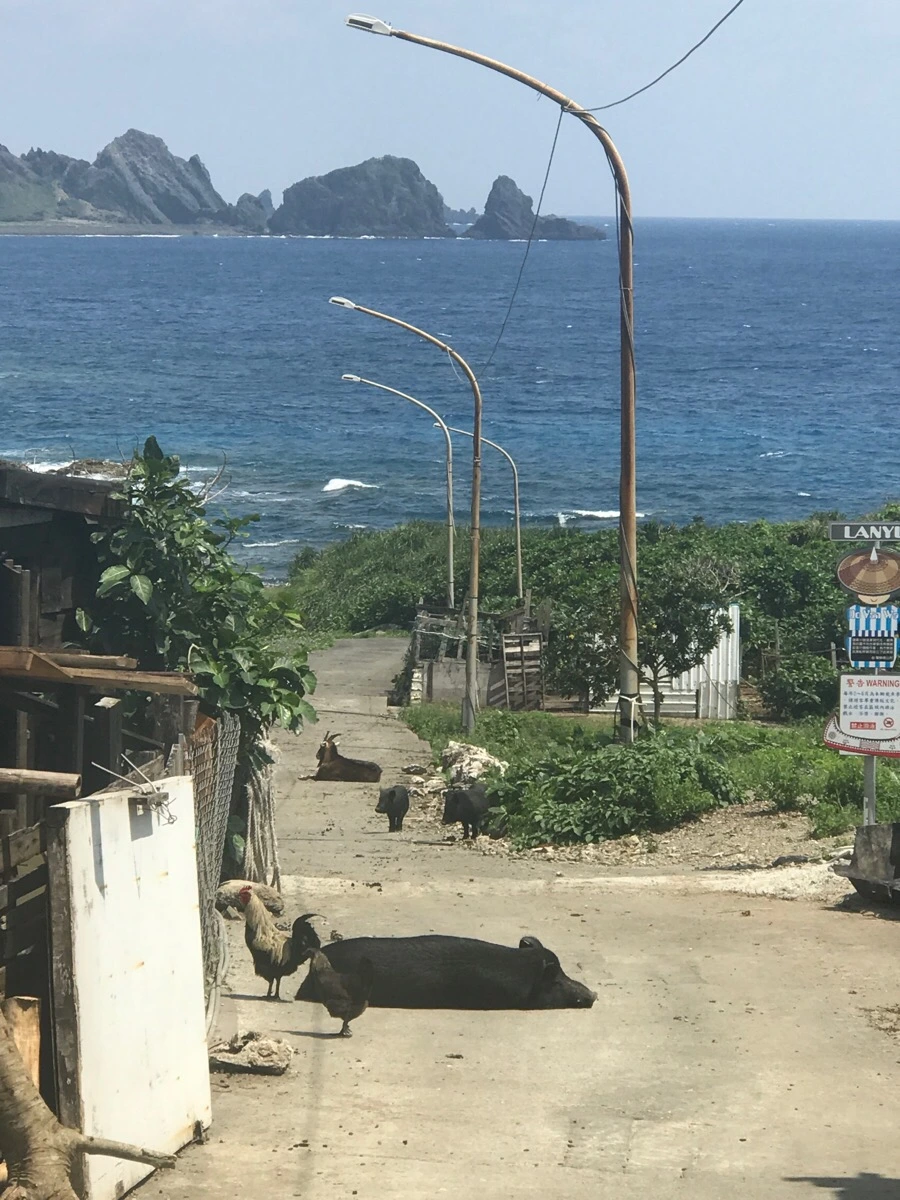 IMG_3903.jpg?type=w966