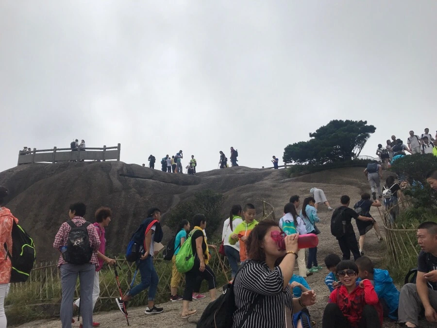 IMG_0792.jpg?type=w966