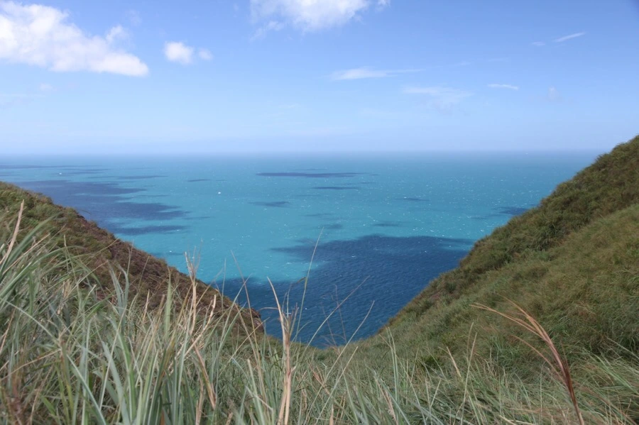 IMG_5296.JPG?type=w1