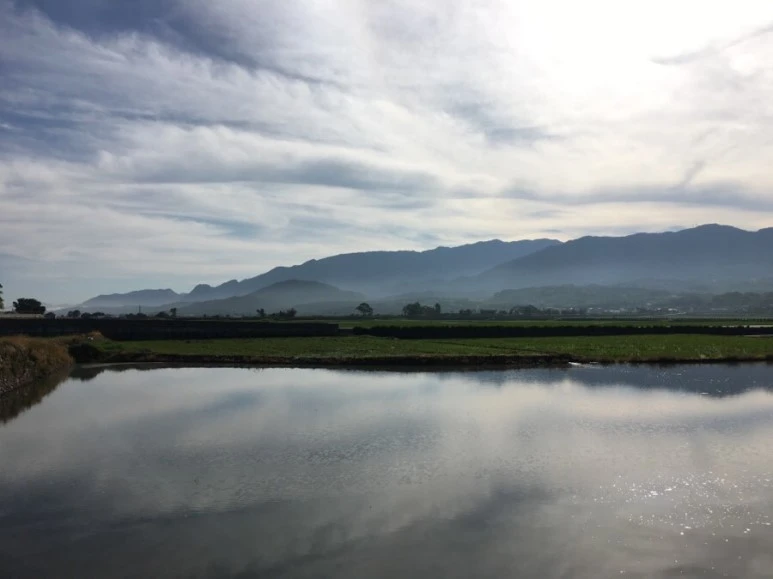 attachImage_2714632255.jpeg?type=w773