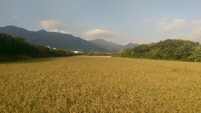 IMAG6238.jpg?type=w773