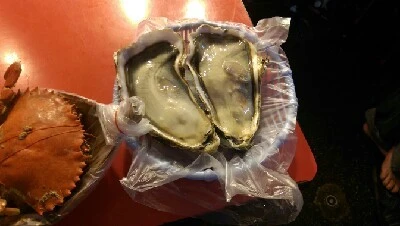 IMAG5294.jpg?type=w773