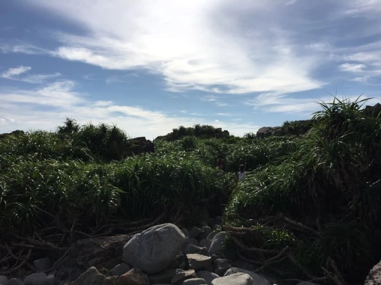 attachImage_3285529714.jpeg?type=w773