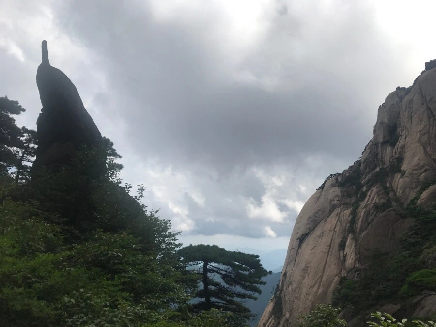 IMG_0890.jpg?type=w966