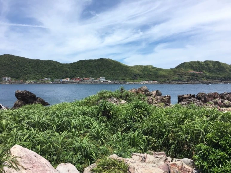 attachImage_2595909077.jpeg?type=w773