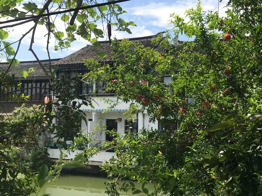 IMG_1400.jpg?type=w1