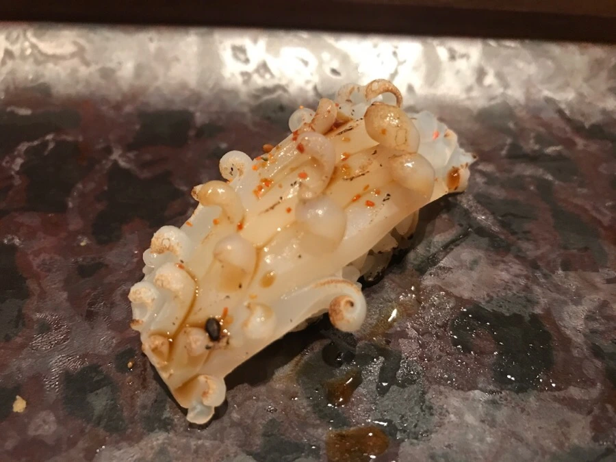 IMG_7583.jpg?type=w966