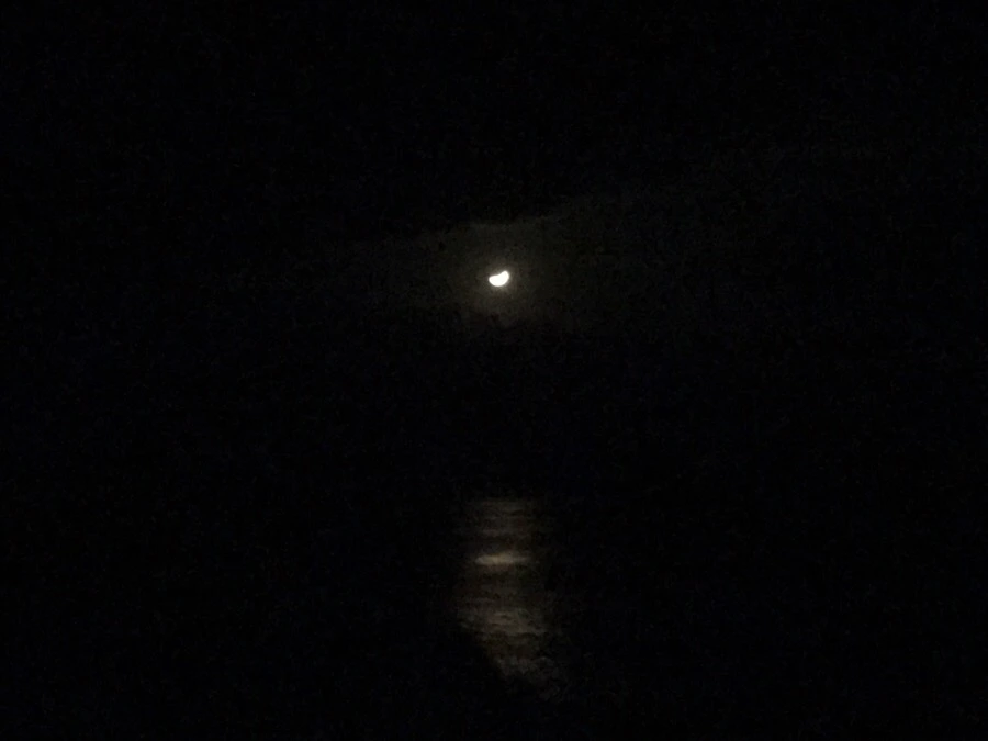 IMG_3567.jpg?type=w966