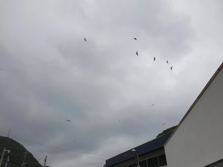 20190608_104546.jpg?type=w1