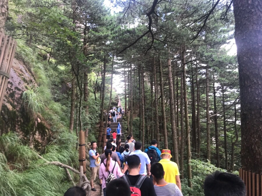 IMG_0871.jpg?type=w966