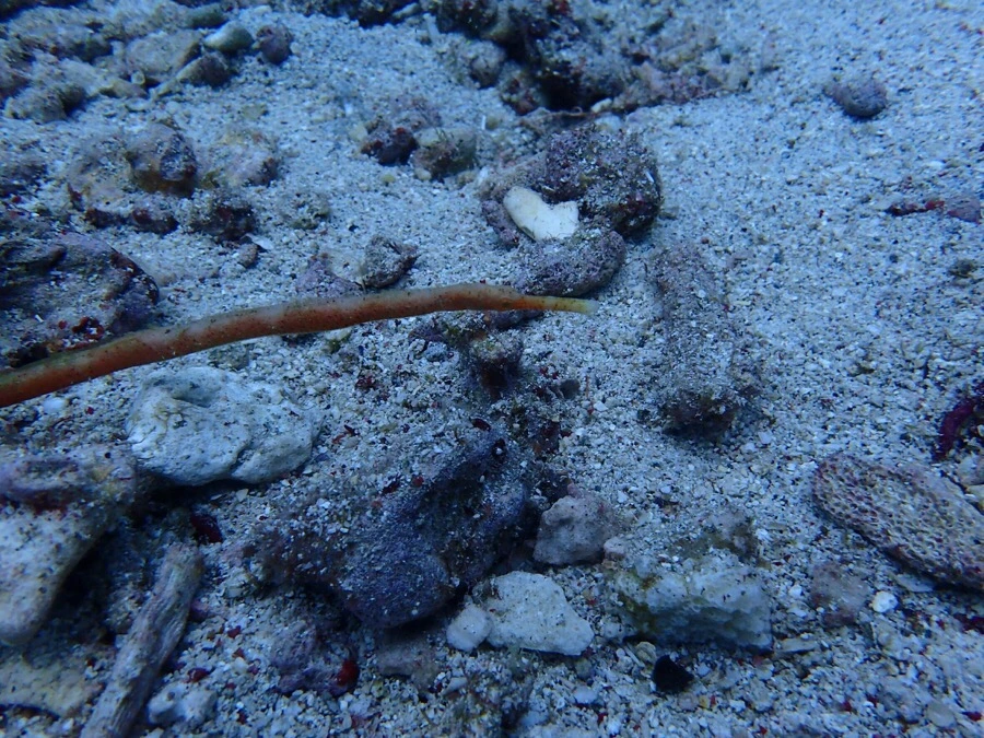 IMG_1845.jpg?type=w966