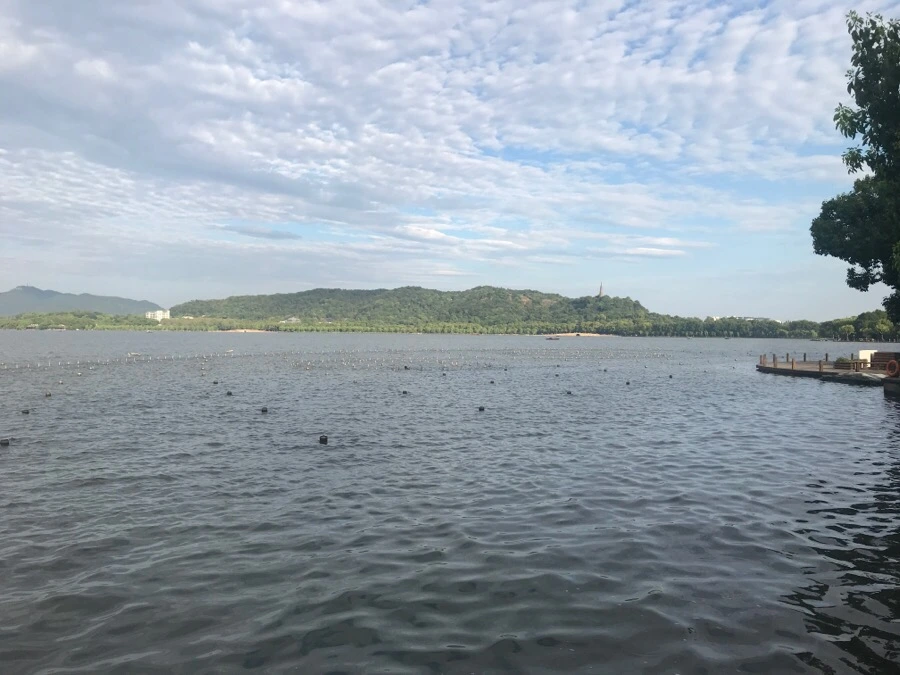 IMG_1037.jpg?type=w966