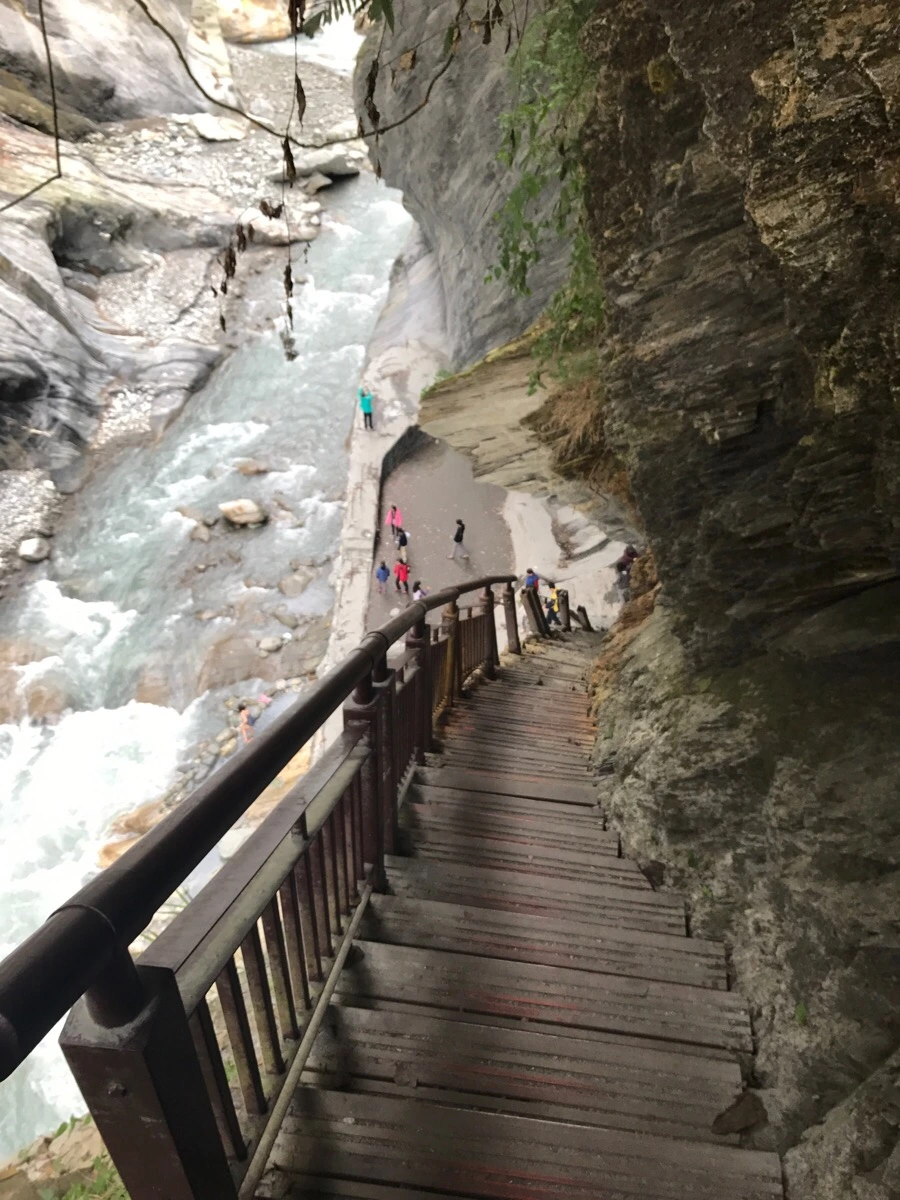 IMG_2095.jpg?type=w966