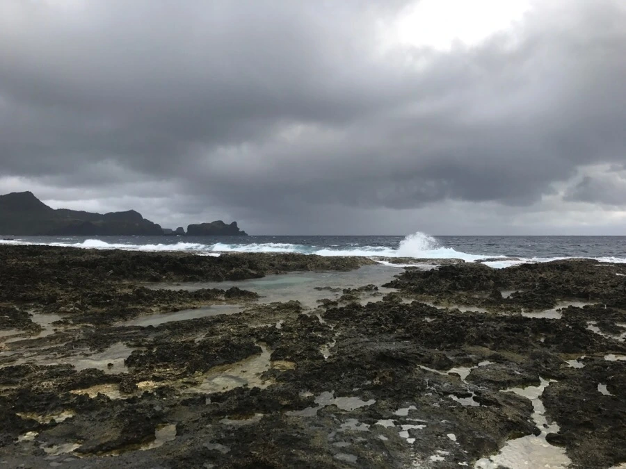 IMG_1560.jpg?type=w966