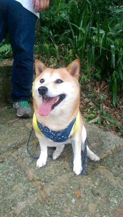 IMAG5153.jpg?type=w773