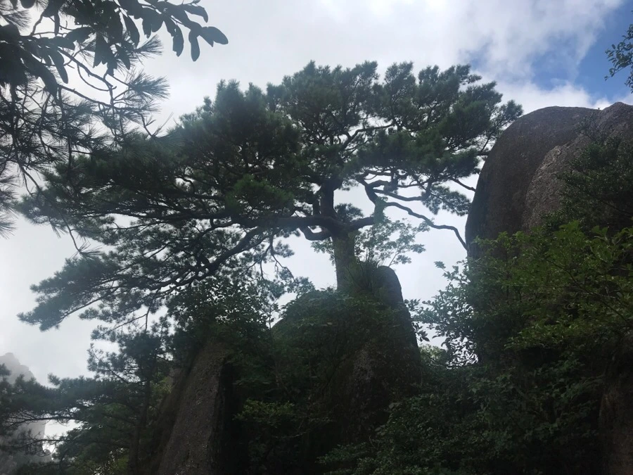 IMG_0908.jpg?type=w966