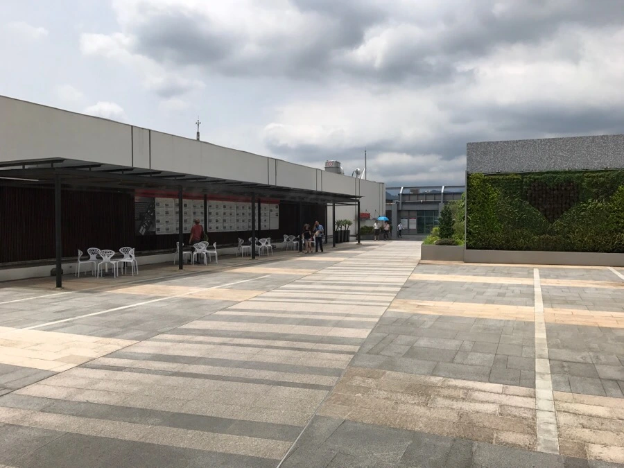 IMG_8129.jpg?type=w966