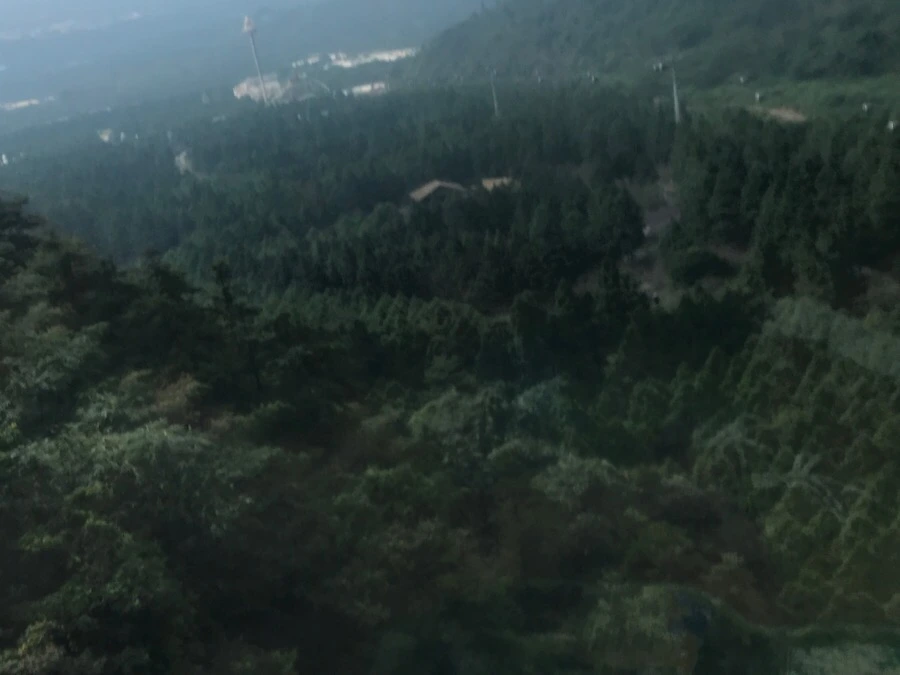 IMG_2995.jpg?type=w966