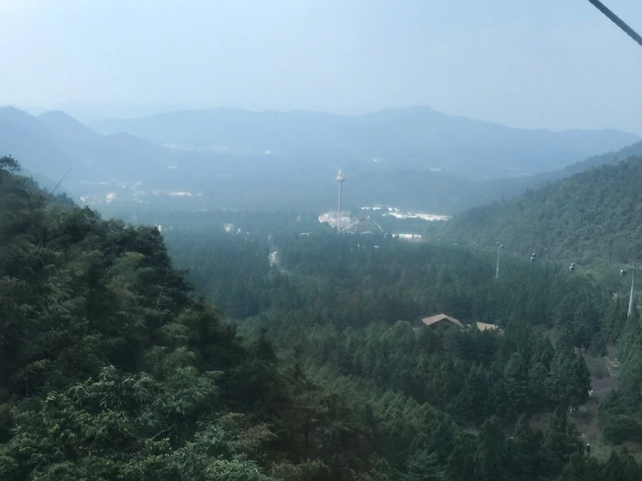 IMG_2994.jpg?type=w966