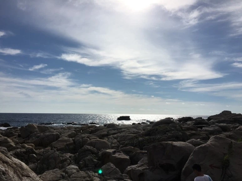 attachImage_1109424389.jpeg?type=w773