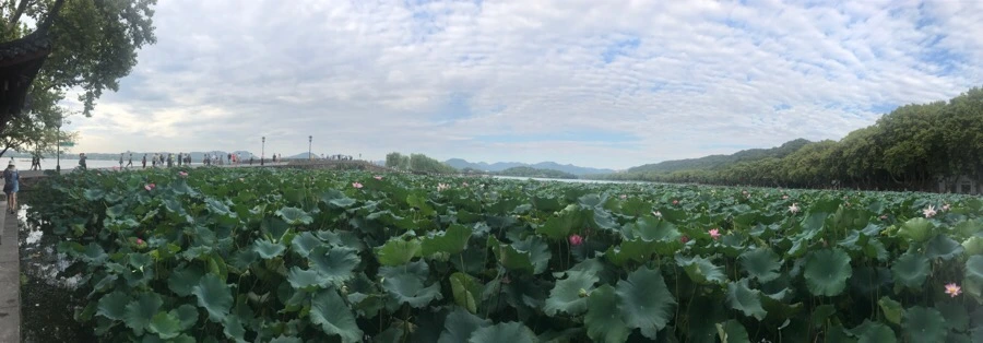 IMG_1065.jpg?type=w966