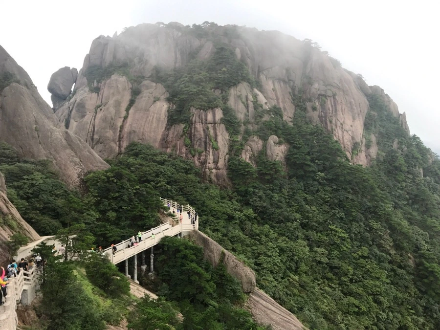 IMG_0811.jpg?type=w966